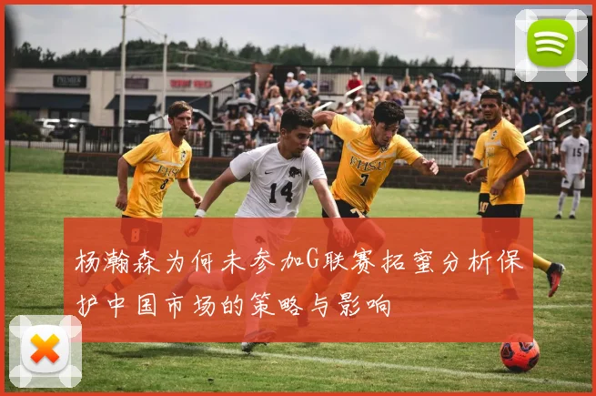 杨瀚森为何未参加G联赛拓蜜分析保护中国市场的策略与影响